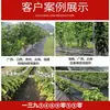 En stock tela anti-malezas al por mayor tela para malezas PP negra tela transpirable permeable huerto agrícola tela no tejida
