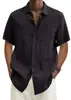 2025 estación independiente deseo Amazon explosiones verano cuello en V botón algodón lino color liso hombres camisa de moda camisa hombres