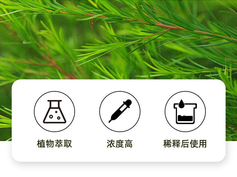 12茶树精油_03.jpg