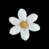 Flor de Hierba Jazmín Pequeña Estilo Pastoral de 4 cm Hecha a Mano Flor Sola Decoración para el Hogar Flor Se Puede Insertar en Alambre Delgado