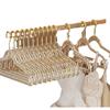 Gancho acrílico para mujer sin costuras para el hogar transparente de plástico tienda de ropa lindo cristal polvo dorado tendedero al por mayor