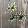 3 garfo borda dourada lírio artificial verde planta sentir filme pano paisagem decoração flor roxo orvalho grama material de folha de alta qualidade