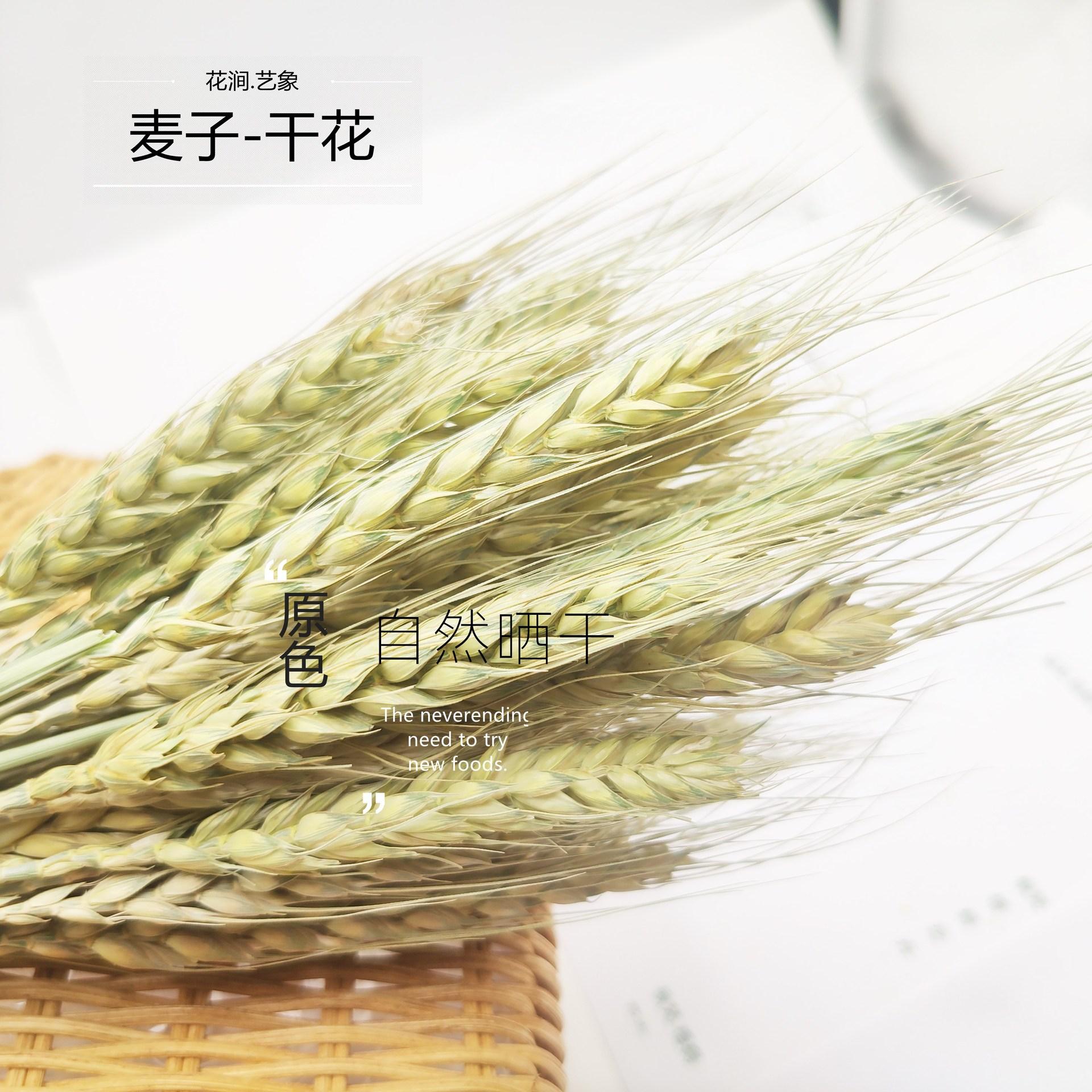 IMG_20210410_130637_副本