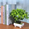 Personalização Transfronteiriça Pequena Planta de Simulação Árvore Bonsai Artificial para Estante Banheiro Decoração de Casa Fazenda Zen