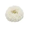 Ligas para el Cabello Estilo Coreano, Nuevos Accesorios para el Cabello de Otoño e Invierno, Scrunchies Grandes, Ligas de Peluche para Niñas, Accesorios para Rodetes, Sapo Dorado