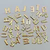 Estampagem a Quente com Letras Douradas Tridimensionais Letras de Liga Metal Hardware para Roupa Acessórios para Vestuário Letra Prateada Hot Rhinestones Patch de Metal