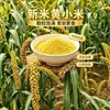 Mijo amarillo, cosecha nueva, mijo glutinoso de producción agrícola para gachas, mijo oleaginoso, granos enteros, mijo amarillo pequeño para cocinar gachas, mijo al por mayor