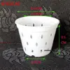 Vaso de Flor Gota de Chuva Transparente Oco Coluna de Ar Plantio de Orquídea Phalaenopsis Vaso de Flor de Plástico Suspenso Nova Matéria-Prima de PP