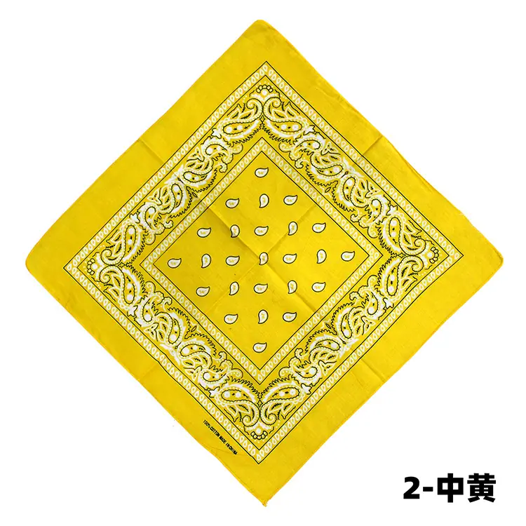 2-中黄.jpg