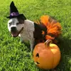 Disfraz Europeo y Americano para Mascota Color Block Oso Salsa Falda Fiesta de Gato Fiesta Disfraz Perro Día de Halloween Falda Salsa