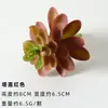 Cabeza de Flor de Terciopelo Carnosa Planta Artificial Falsa Combinación en Maceta de Sábila Cactus Plantas Verdes Adornos de Micro Paisaje