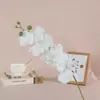 Orquídea Mariposa de Seda Simulada de 9 Cabezas Muebles para el Hogar Arreglo de Boda Arreglo Floral Decoración de Hotel Fabricante de Flores Artificiales Venta Directa