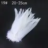 Colección de Productos de Plumas Blancas al Por Mayor DIY Hecho a Mano Accesorios de Ropa de Plumas Joyería Material Pluma de Ganso Pluma de Pavo