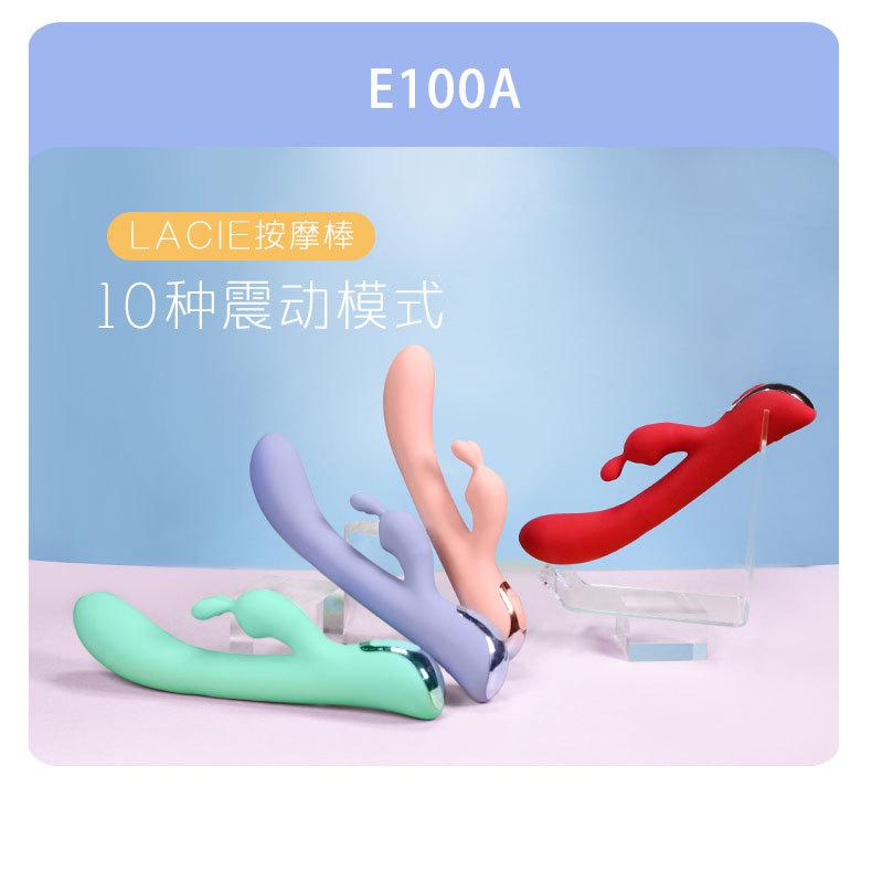 E100A_13.jpg