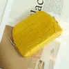 Bolsa de almacenamiento de cuero con patrón de cocodrilo, bolso cruzado de cadena para mujer, bolso pequeño, bolsa de cosméticos portátil, neceser de viaje