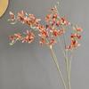 Flor Simulada Color Maillard Otoño Fénix Mariposa Orquídea Suministro de Ultramar Muestra para el Hogar Decoración de Paisaje de Boda Al por Mayor