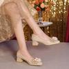 Primavera 2025 Estilo Coreano Novos Sapatos Solteiros de Salto Médio Salto Grosso Bico Quadrado Francês Temperamento Tamanho Pequeno Sapatos Femininos