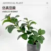 2025 Novo Artesanato de Modelagem de Flores de Seda Plantas Verdes Simuladas Estilo Nórdico Sala de Estar Decoração de Casa Design Multifacetado
