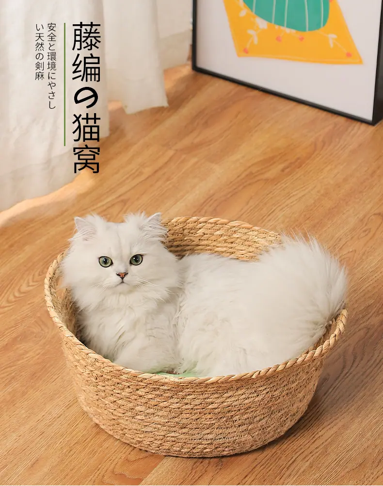 详情页_01.jpg