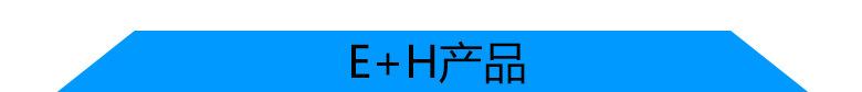 ENDRESS_1