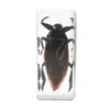 Especímenes de Insectos de Resina Real: Insectos Reales, Escarabajos, Arañas, Ciervos Voladores, Escarabajos Rinoceronte, Escorpiones, Ciempiés, Cangrejos, Mantis Religiosas, Adornos de Especímenes