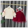 Falda de Dos Piezas para Niñas Traje de Falda Dulce de Hebra para Niños con Forro Polar Invierno Estilo Occidental Grueso Moderno Falda de Princesa para Bebé