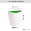 Vaso de plástico para simulação de flores espuma verde flocado pequeno para plantio arranjo de flores vaso decorativo flor artificial vaso carnudo fosco desktop atacado