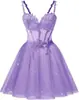 Estilo Nuevo 2026 Elegante Ceñidor de Cintura Sin Tirantes Malla Fiesta de Cumpleaños Dama de Honor Vestido de Noche para Mujeres, Suministro Transfronterizo