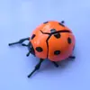 Juguete de escarabajo de simulación de bobinado creativo transfronterizo decoración de mariquita escarabajo de resorte para niños juguete gateante venta al por mayor