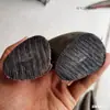 Artesanía Manualidades Manualidades Punta de Cuerno Material Manualidad DIY Manualidad Hecho a Mano Cuerno de Búfalo Cuerno Hecho a Mano