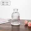 Jarrón Pequeño Rayado de Vidrio Transparente Minimalista Florero Japonés Nórdico Sala de Estar Mesa de Comedor Arreglo Floral de Moda Decoración Modelo de Exportación