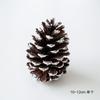 Pinhas coloridas originais atacado óleo de pinho folhas caídas pinho natural pinhas decoração de flores faça você mesmo pacote de material decoração de árvore de natal