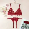 Conjunto de Lingerie Sexy Divertido Transparente de Renda Floral Francesa para Meninas Europeias e Americanas 7029S