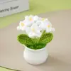 Producto Terminado: Flores Artificiales de Nomeolvides Tejidas a Crochet Puras Hechas a Mano, Flores de Hilo de Crochet Hechas por Uno Mismo, Regalo de San Valentín, Regalo de Cumpleaños, Regalo de Graduación