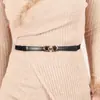 Estilo Coreano Moda Simple Hebilla Redonda Elástico Delgado Cinturón Hebilla de Mujer Sello de Cintura Elástico Cadena de Cintura Decorativa Vestido Venta al por Mayor