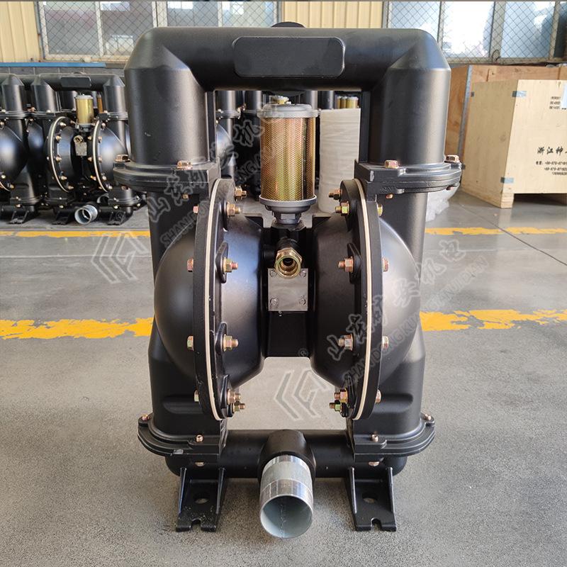 气动隔膜泵 (11).jpg