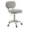 Taburete de Belleza Asiento Especial para Salón de Belleza Elevador Giratorio Polea Taburete Redondo Peluquería Uñas Maquillaje Hogar Silla con Respaldo