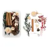 Pacote de Materiais DIY para Flores Secas e Frutas Secas Estilo Planta Natural Pinha Canela Figura Decorativa de Interior Enfeites de Aromaterapia