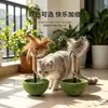 Juguete para Gatos Tumbler con Hierba Gatera, Juguete de Autoentretenimiento para Gatos, Palo para Limpiar Dientes, Premios para Gatos, Suministros para Provocar Gatos