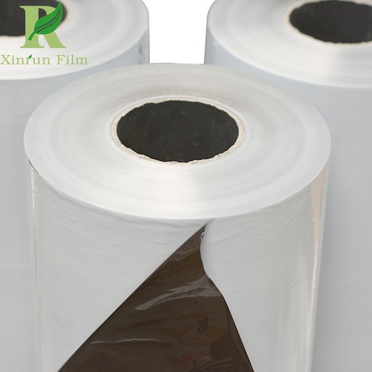 protective film18030611.JPG