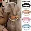 Collar de Piedras Preciosas para Mascotas Transfronterizo DIY Collar Personalizado para Gato Accesorios de Correa para Perro Tienda Física Artículos Más Vendidos