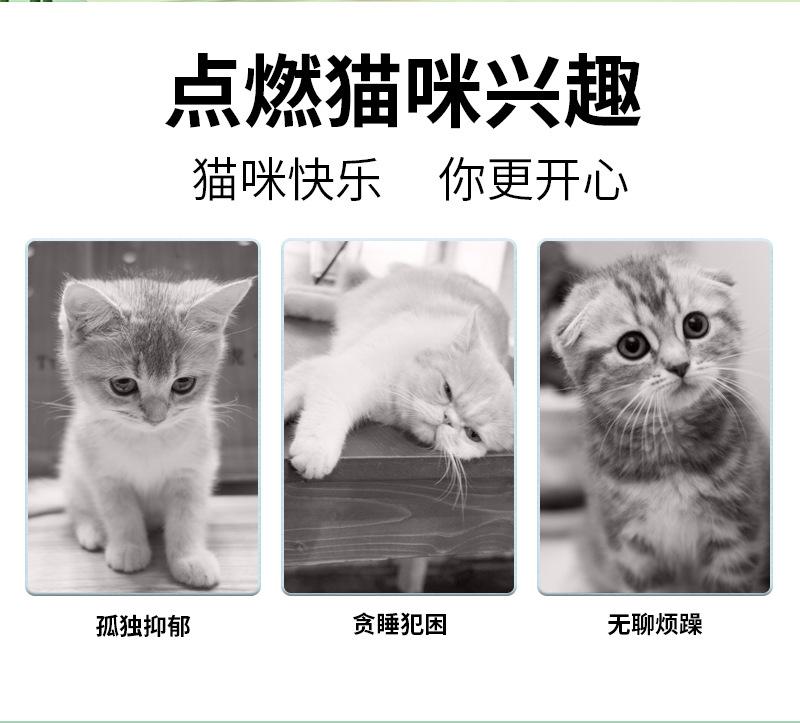 详情_03.jpg