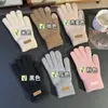 Guantes de Invierno Cálidos con Pantalla Táctil Antifrío Transfronterizos, Imitación Cachemir Engrosado para Ciclismo Outdoor Tejidos
