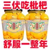 Níspero enlatado fresco, fruta grande sin semillas recién recolectada, conservas de fruta en agua azucarada, latas grandes comerciales, caja completa