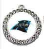 Colar Pingente de Time de Futebol Americano NFL de 32 Times Mais Vendido Transfronteiriço Carolina Panthers