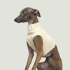 Roupas para Cães Grandes Primavera e Outono Sem Mangas Flanela Quente Verde Cão Cão Grande Roupas Galgo Whippet Colete para Pet
