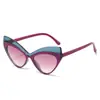 Nuevas Gafas de Sol Retro Cat-Eye con Bloques de Color Exagerados, Estilo Hip-Hop y Diseño Único para Fiestas y Reuniones