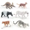 Conjunto de 6 Peças de Figuras de Animais Selvagens Figuras de PVC incluindo Porco-espinho Leopardo-de-bengala Leão-branco Macaco-narigudo Leopardo-das-neves e Mais Animal Realista