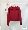 Camiseta de punto con cuello POLO gris para mujer, otoño e invierno, interior ajustado a la cintura, diseño delgado, chic de nicho, hermoso top
