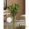 Vaso Anti-Queda de Acrílico para Hidroponia, Arranjo de Flores, Bambu da Sorte, Vaso Reto Transparente de Acrílico para Flores Frescas, Decoração para Sala de Estar, Pequeno